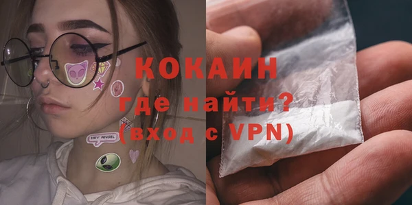 шишки Богданович